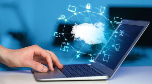 第三方軟件檢測機(jī)構(gòu)的服務(wù)流程與選擇策略